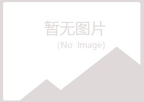 福州晋安冰夏计算机有限公司